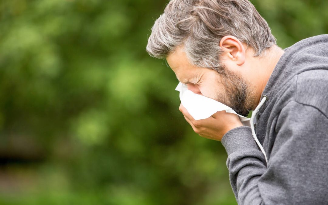 Allergie e sistema immunitario: come sono legati?